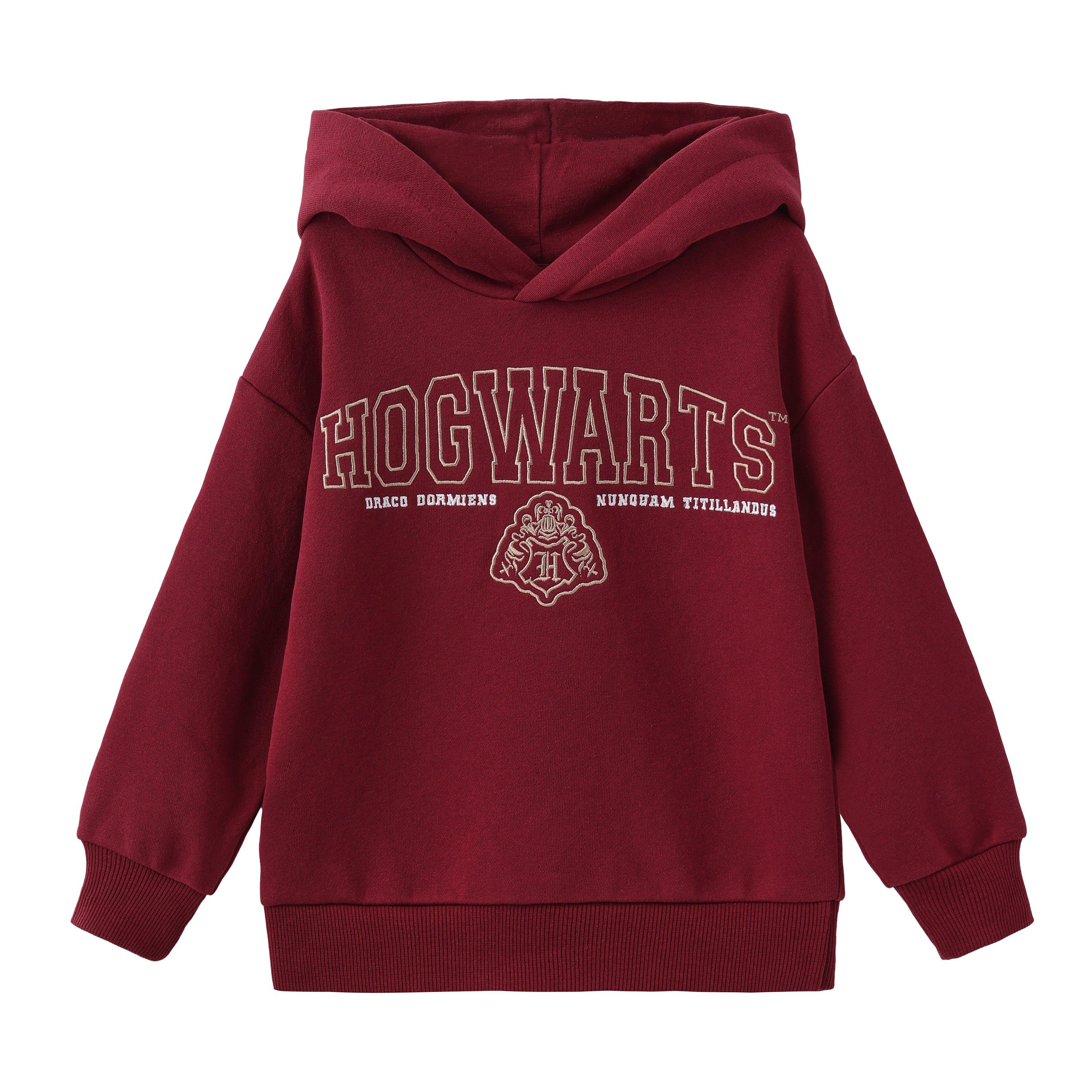 Character Fleece Lined Hoodie for Boys