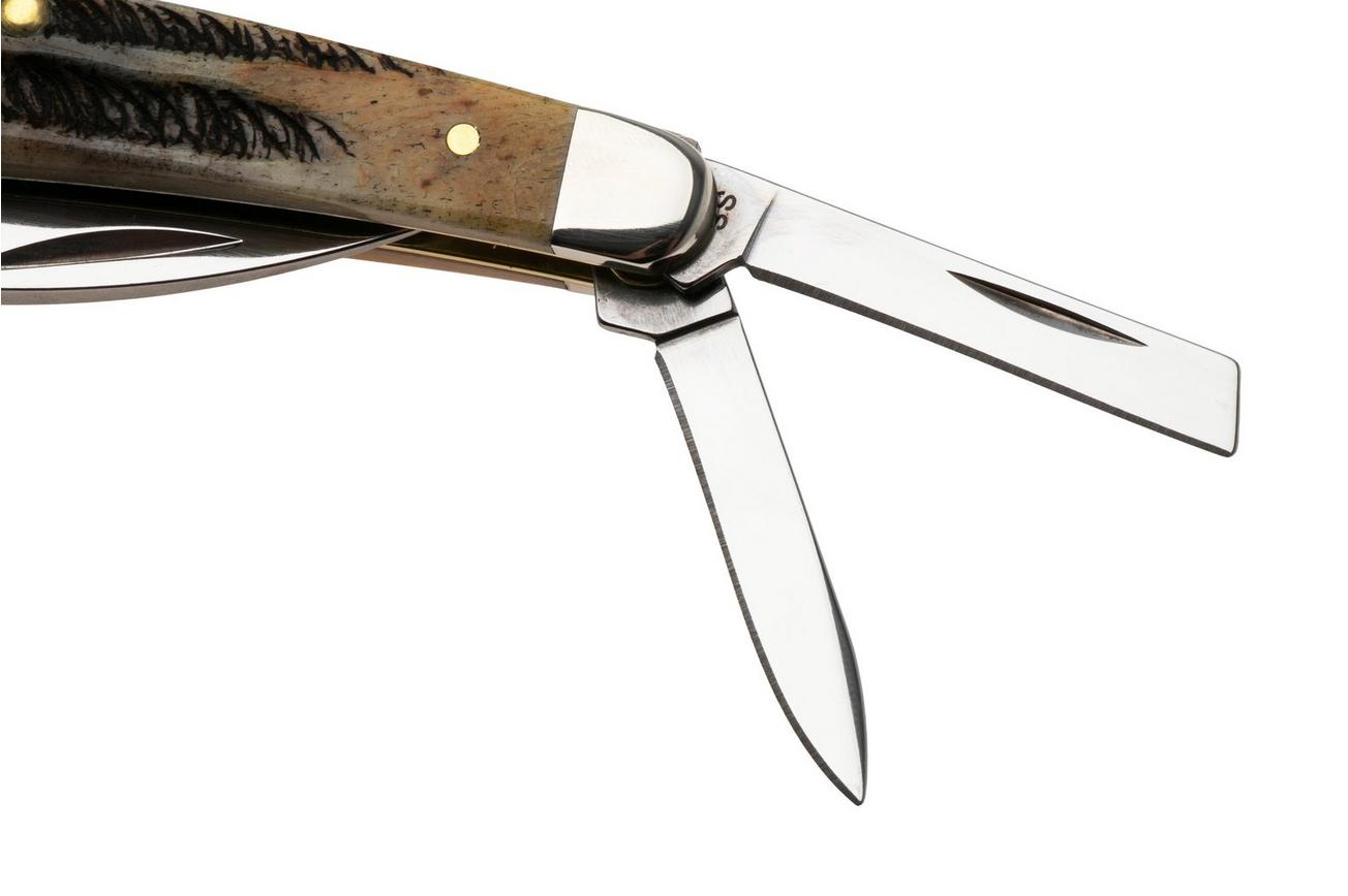 Case Seahorse Whittler, 6.5 BoneStag, 65347, 6.5355WH SS zakmes