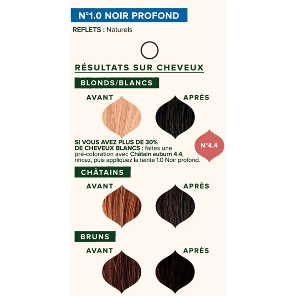 Emblica Coloration végétale - 10 teintes - 1.0 Noir profond 100g