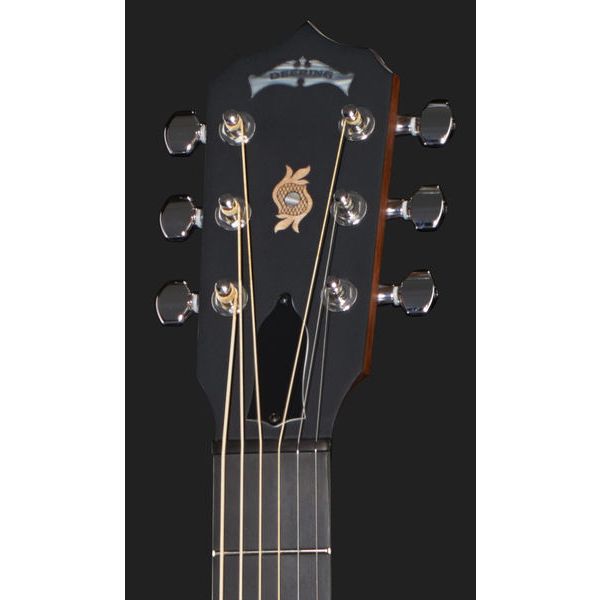 Deering B6 Boston 6 string Banjo