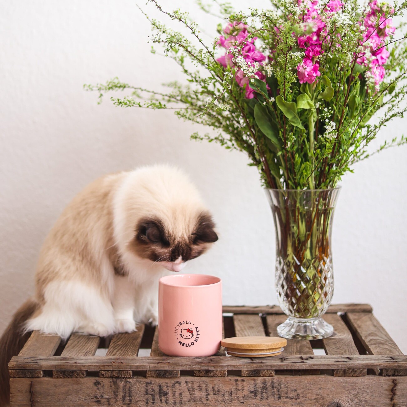 LucyBalu SNACK BAR Katzen Leckerlidose - Hello Kitty Edition