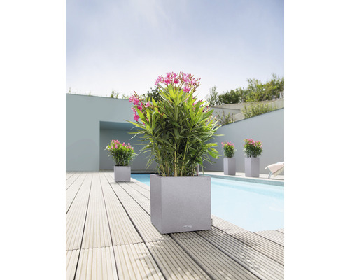 Lechuza Canto Stone kunststof plantenbak, 30x30x30 cm, grijs, inclusief zelfbewateringssysteem