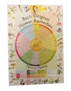 Bach Bach remedies poster A2 a2