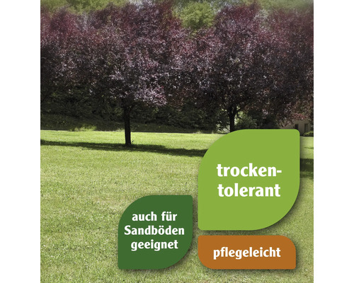 Gazonzaad FloraZelfdrogend gras 1,2 kg / 50 m²