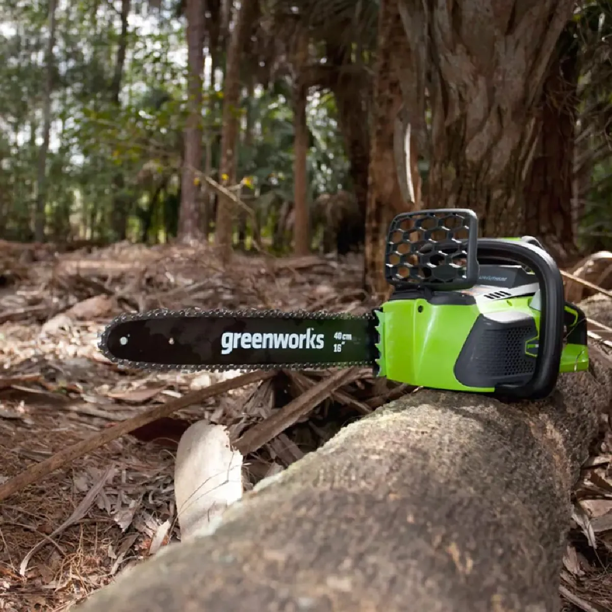 Greenworks GD40CS40