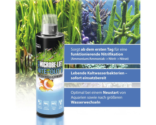 Starterbacteriën ARKA Microbe-Lift Nite-Out II 473 ml
