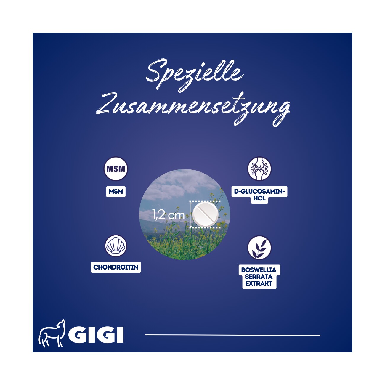 GIGI VET Katzen Gelenke & Knochen 38 g