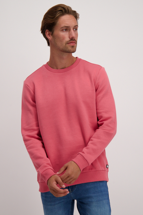 Cars roze heren sweater