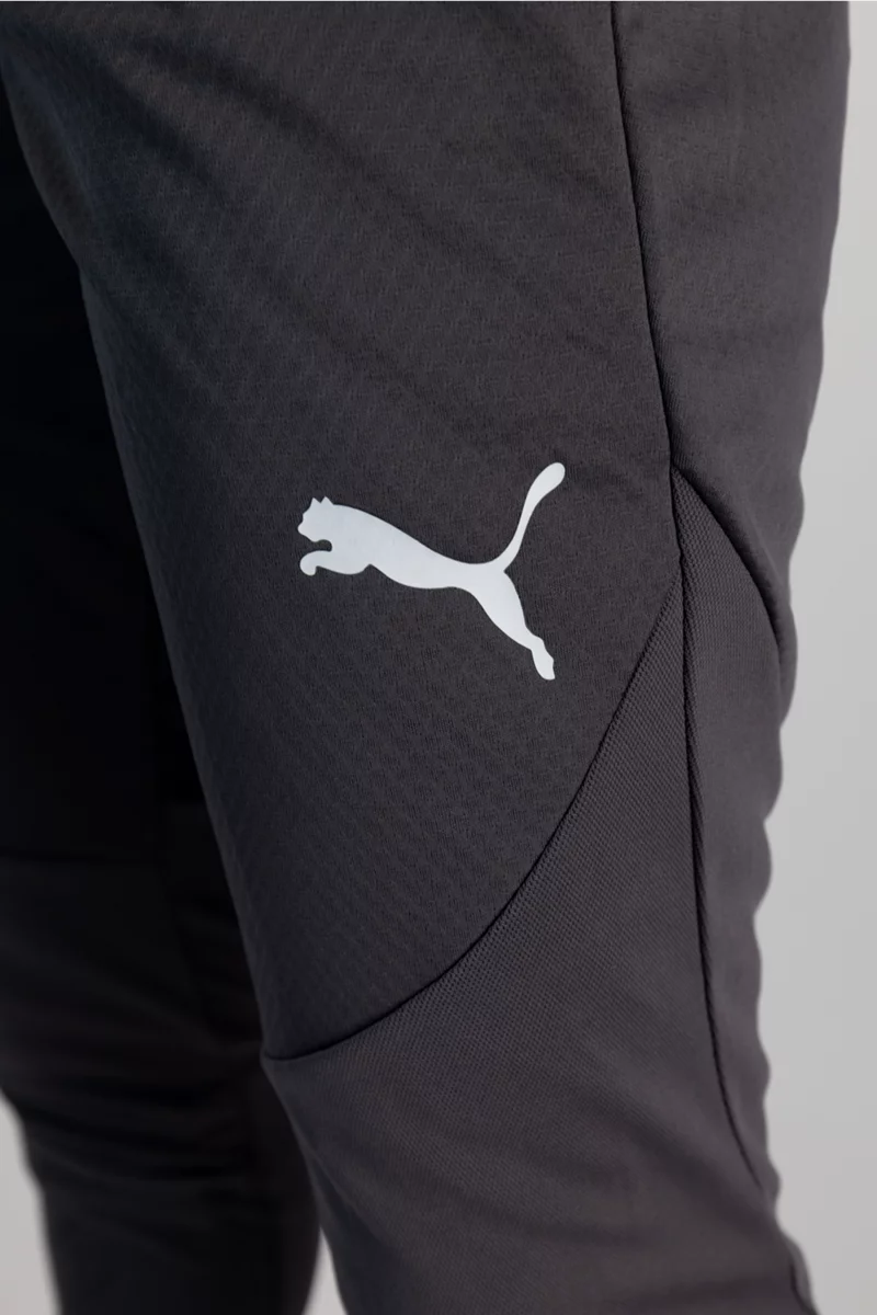 Puma Schweiz Training Herren Trainerhose