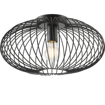 GAMMA plafondlamp Nikki zwart Ø 39 cm