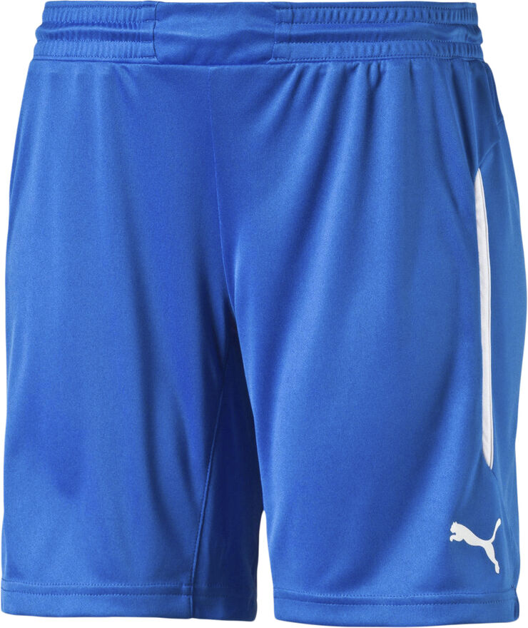 Puma Statement Shorts Blå