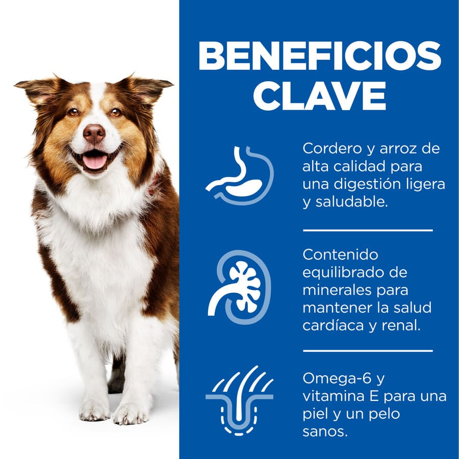 Ração Hill's Science Plan para cães adultos de porte médio com carne de cordeiro.