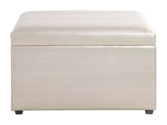 Coffre de Rangement 