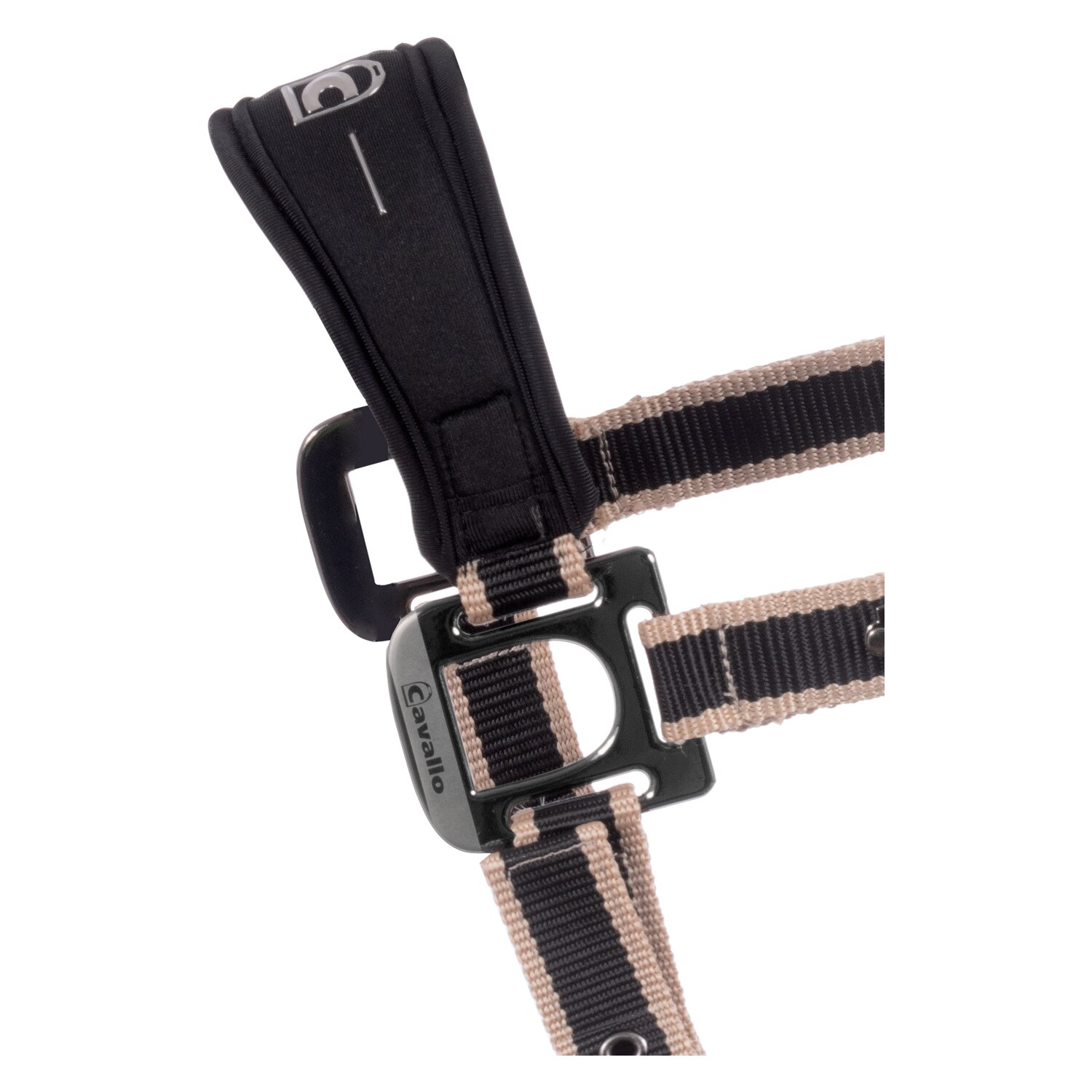 Cavallo Halfter CAVAL SOFTSHELL HEAD COLLAR  - black