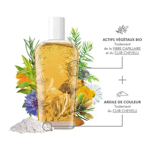 Dermaclay Shampoing Purifiant Détox 250ml