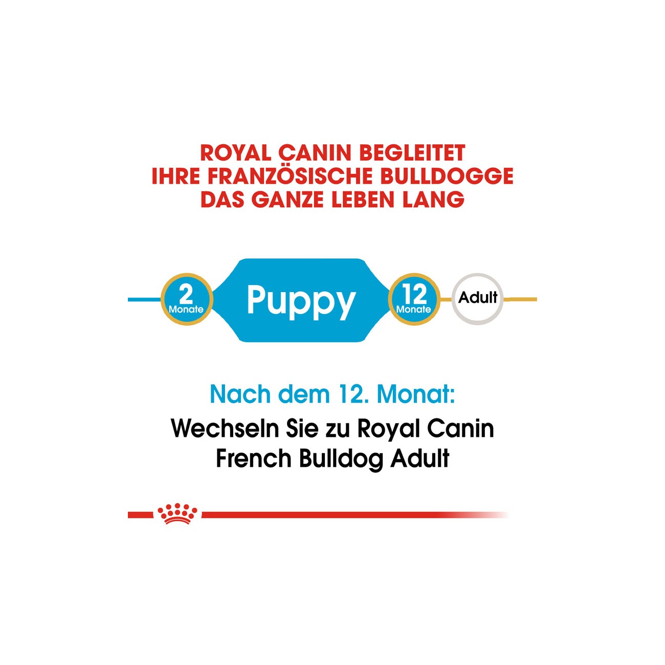 ROYAL CANIN Französische Bulldogge Puppy 3 kg