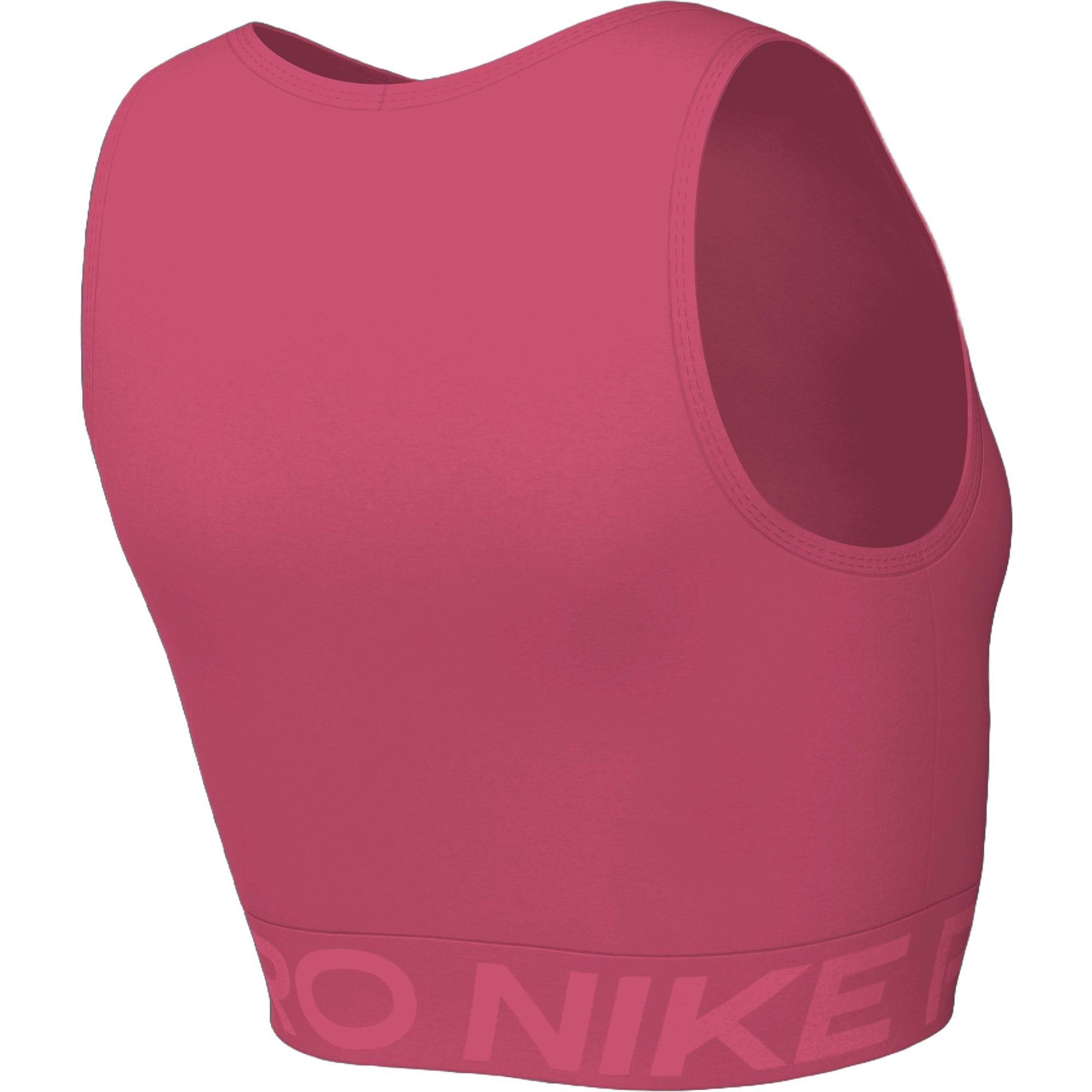 NikeNike Pro 365 Women