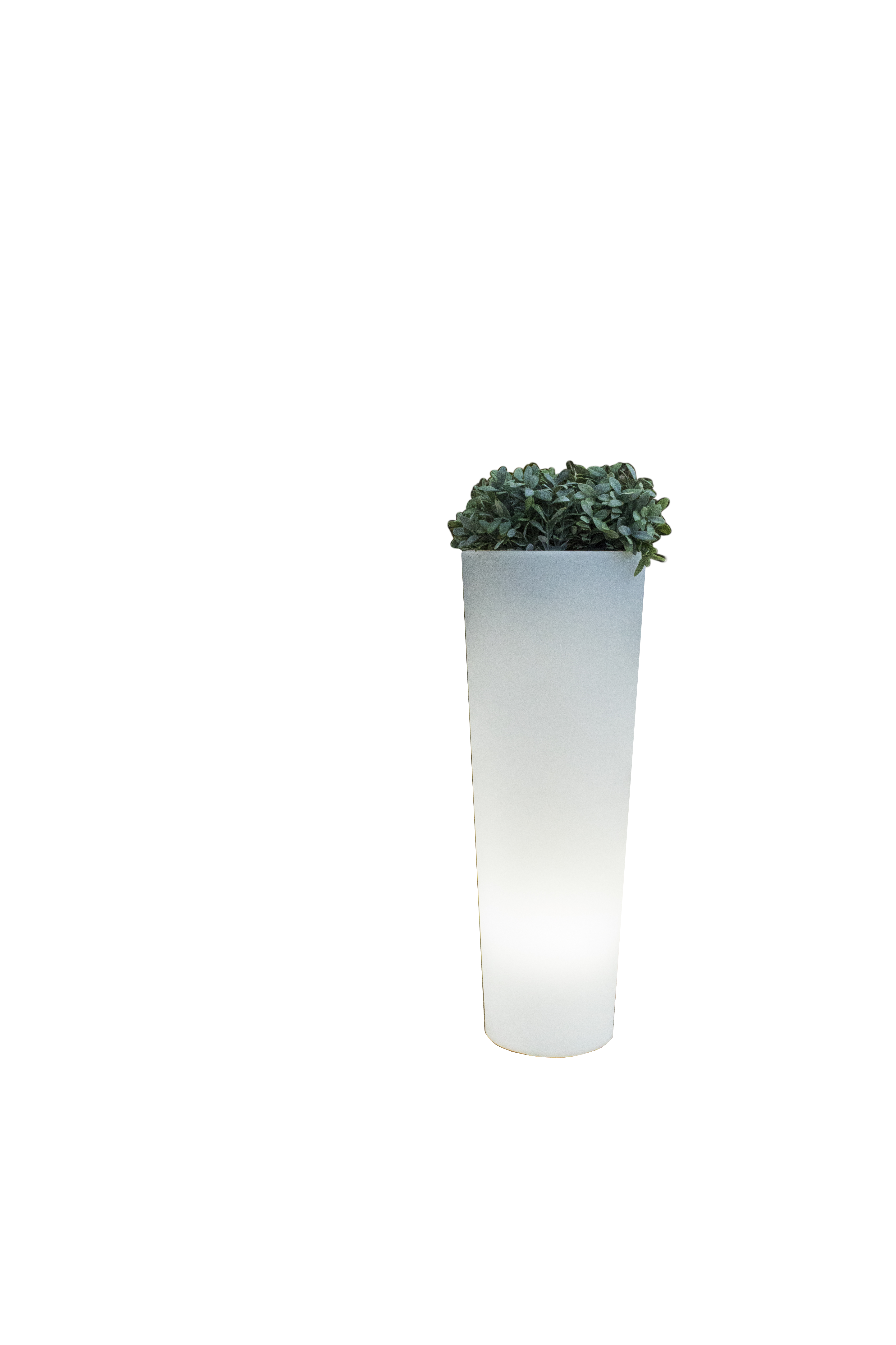 Pot lumineux ficus 60 lumière blanche froide par câble ø29x59cm