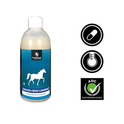 Synovium Ginger MSM Liniment
