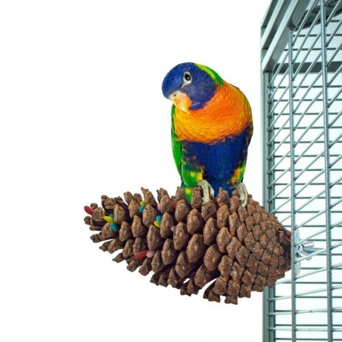 Abacaxi com suporte para papagaio, marrom
