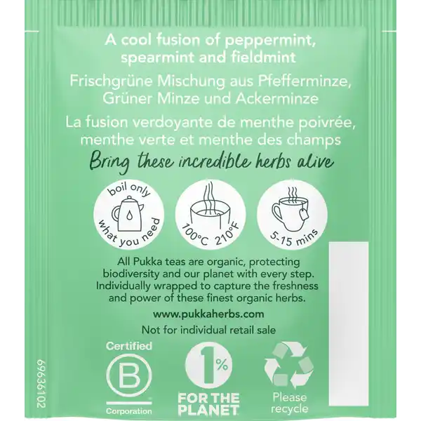 Bio-Kräutertee Drei Minze, mit Grüner Minze, Pfefferminze und Ackerminze