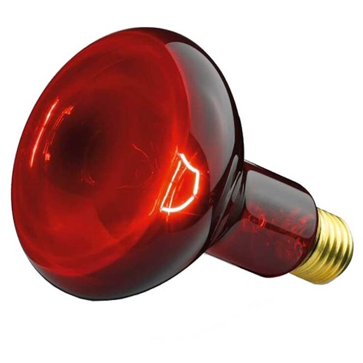 Beurer Glühbirne Infrarotlicht 100W, 1 St