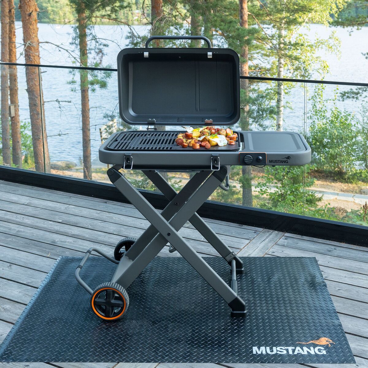 Fold gassgrill