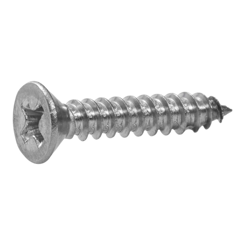 Skruer 10-pk 4,2x19 mm