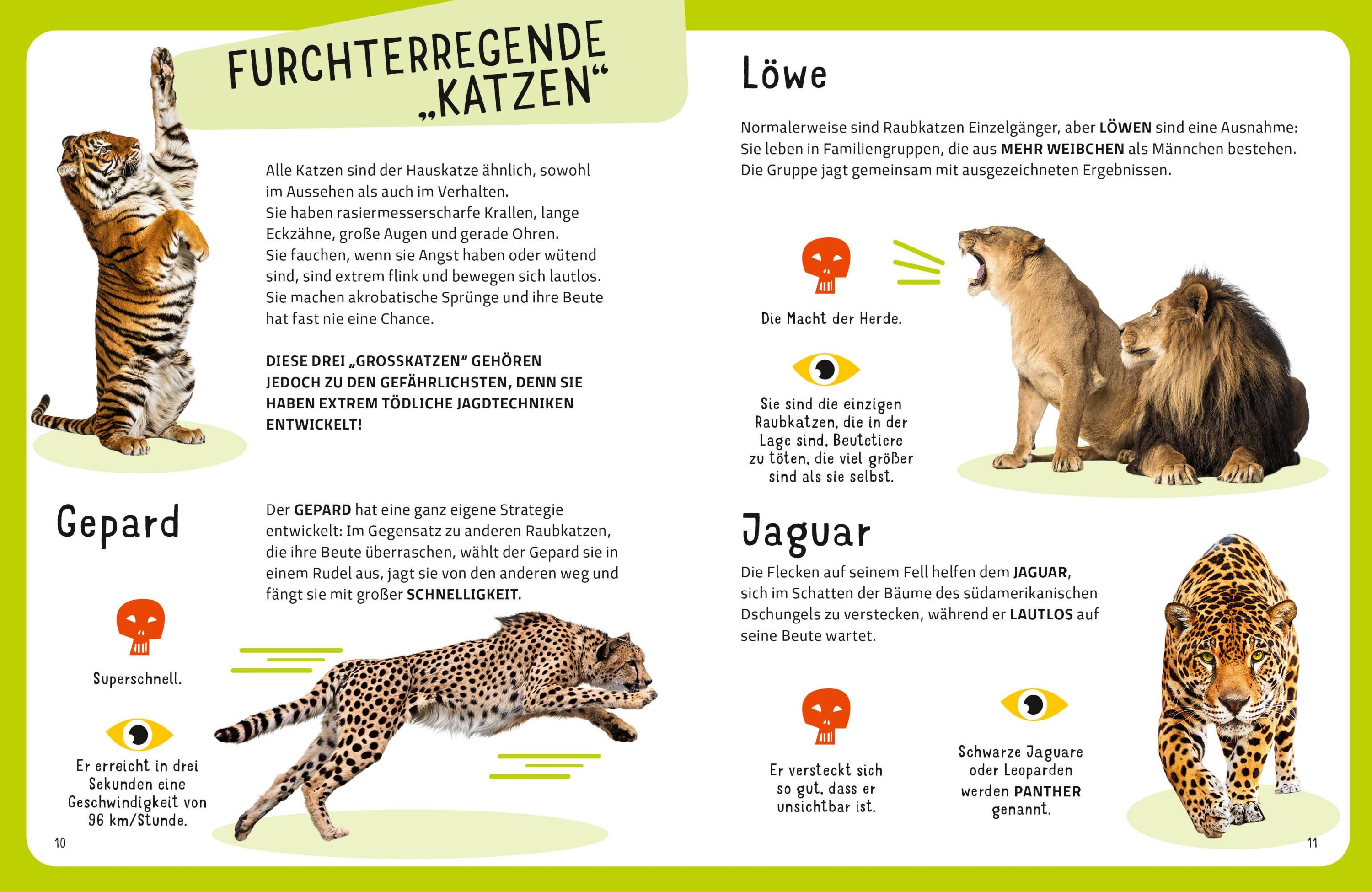 Die tödlichsten Tiere. Ein aufregendes Count-Down der gefährlichsten Tiere (Top Ten)