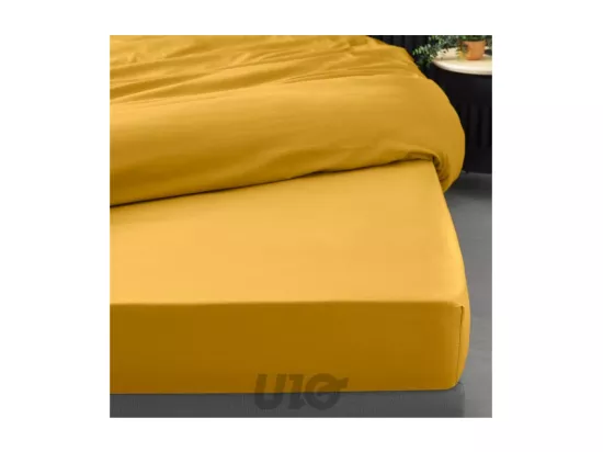 Drap Housse 