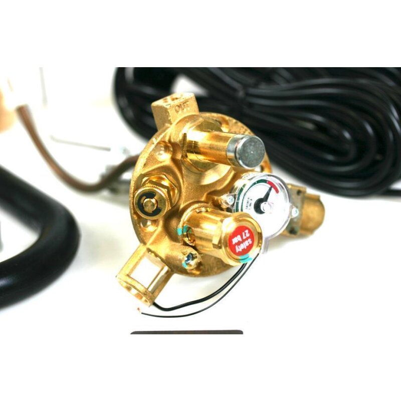 BRC Europa 2 LPG Multiventil H. 270 30° (6mm)