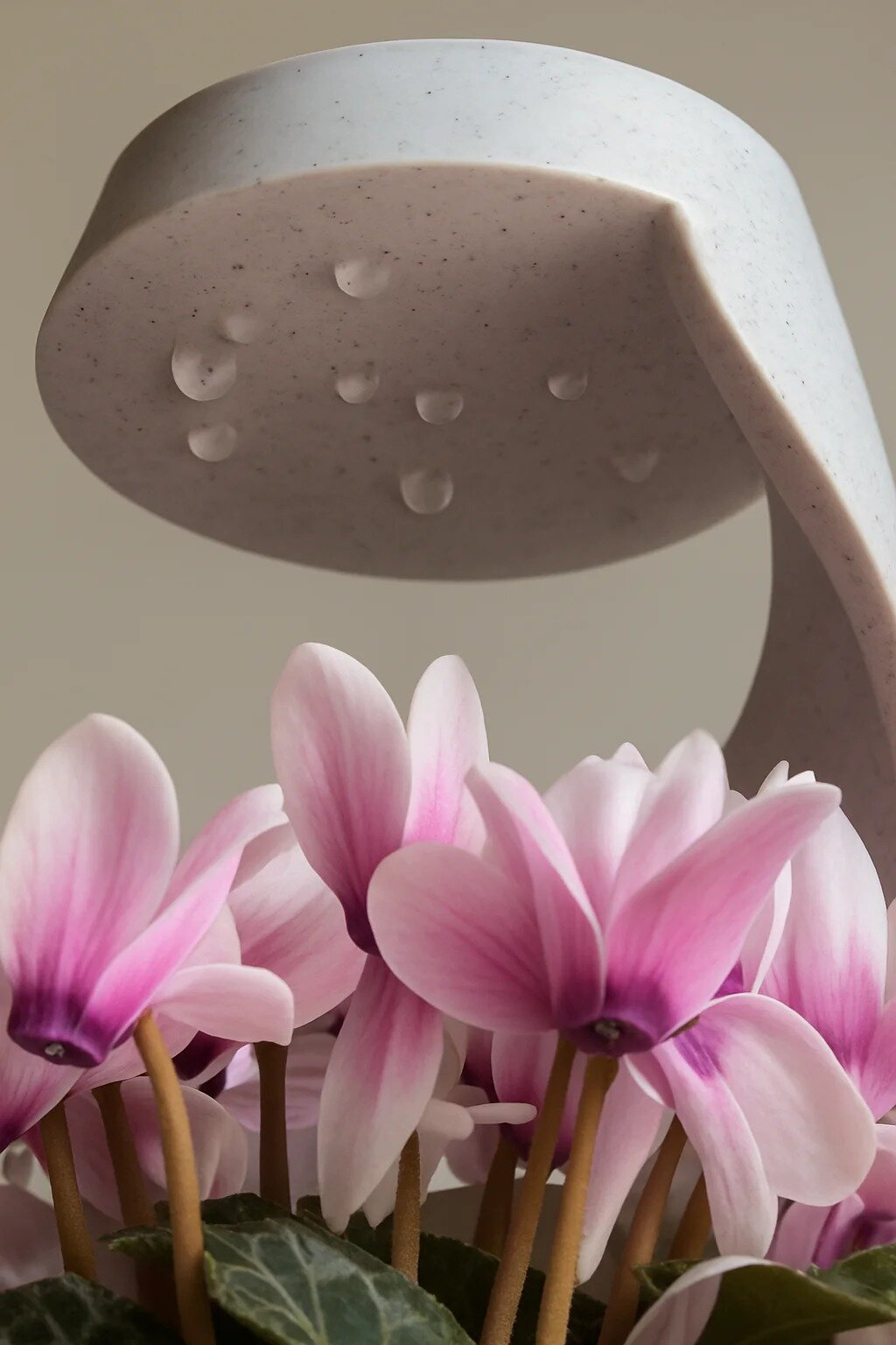 (140x96mm) Automatischer Selbstbewässerungs Blumen Topf mit Wasser Tropfen System Pflanzenkübel mit Wasserspeicher - Grau