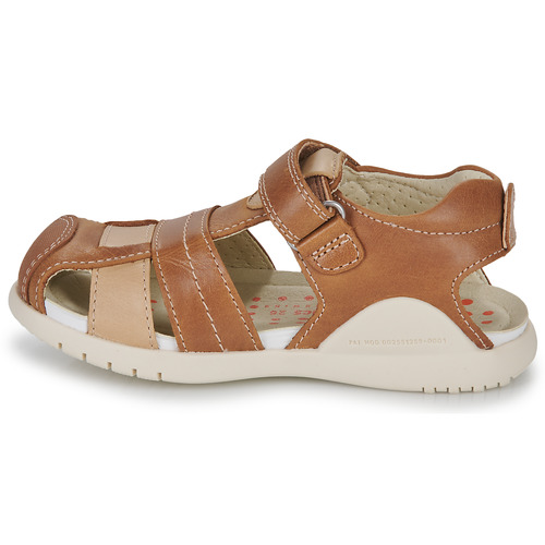 Biomecanics - 232258 - Cognac