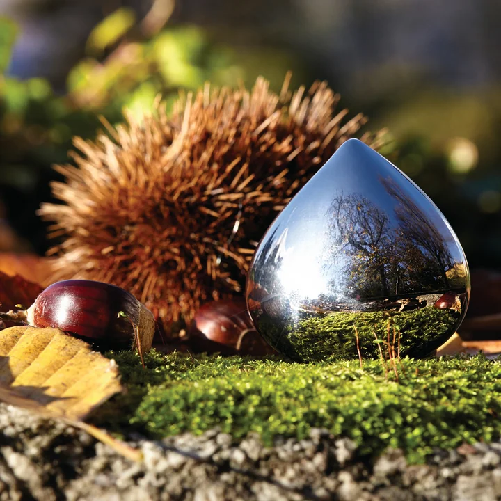 Alessi - Chestnut Pillendose, Edelstahl