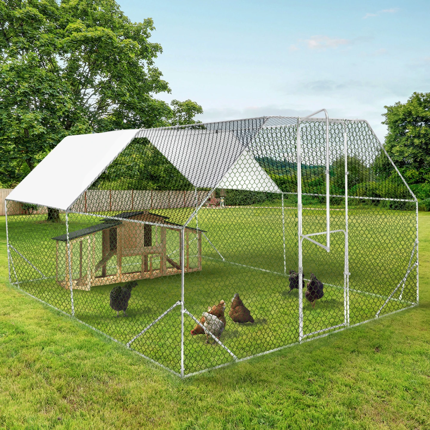 Enclos poulailler porte double battant 12 m² PRESTIGE parc grillagé 3x4 M acier galvanisé