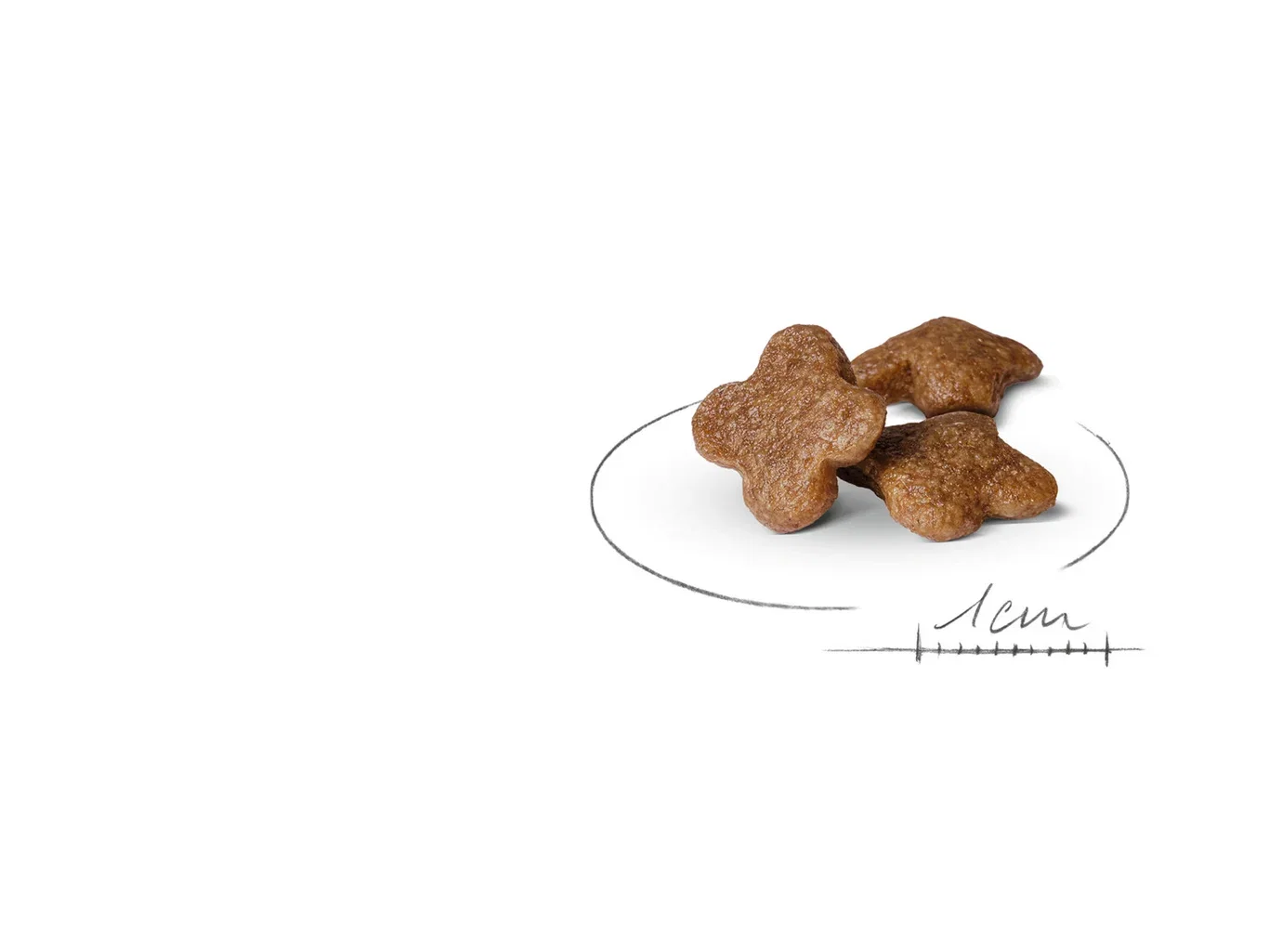 Royal Canin Royal Canin Mini Adult 8 8 kg