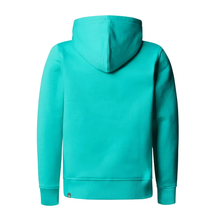 The North Face Drew Peak Hoodie Junior