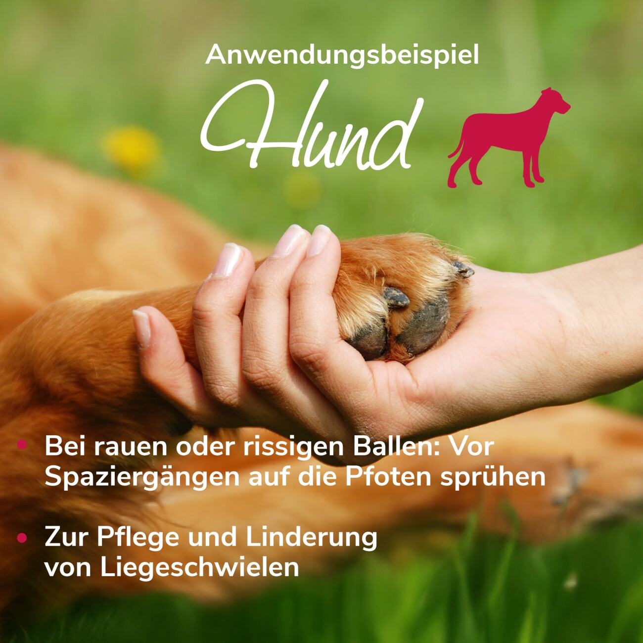 HerzensTier Wundspray Bienenwunderspray 30ml