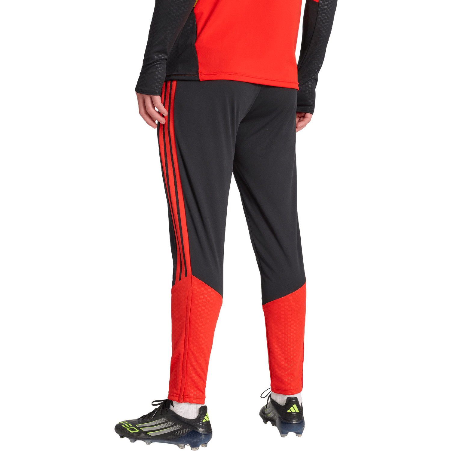 adidas België Training Pant WK 2026