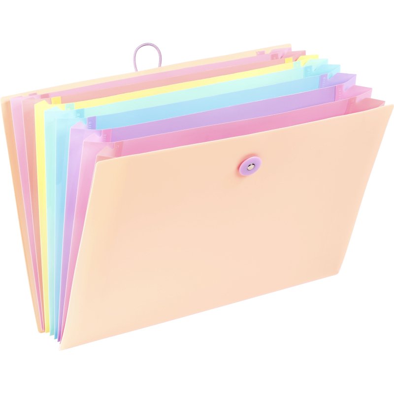 Trieur plastique Viquel Rainbow à soufflet 8 divisions pastel