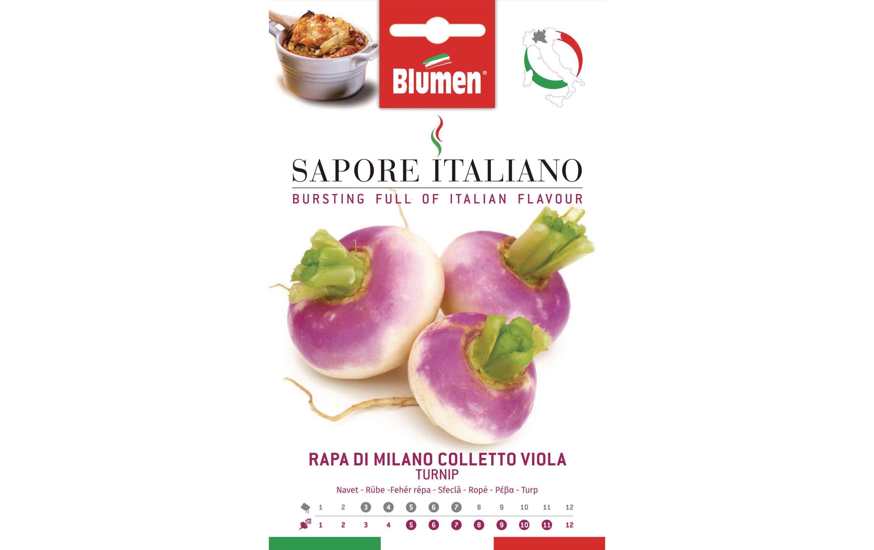 Samen Rübe di Milano CollettoGemüsesamen