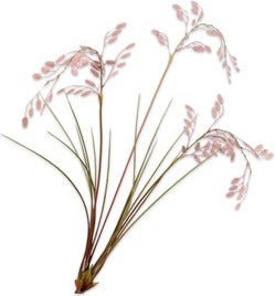 Silk-Ka kunsttak Siergras roze 102 cm