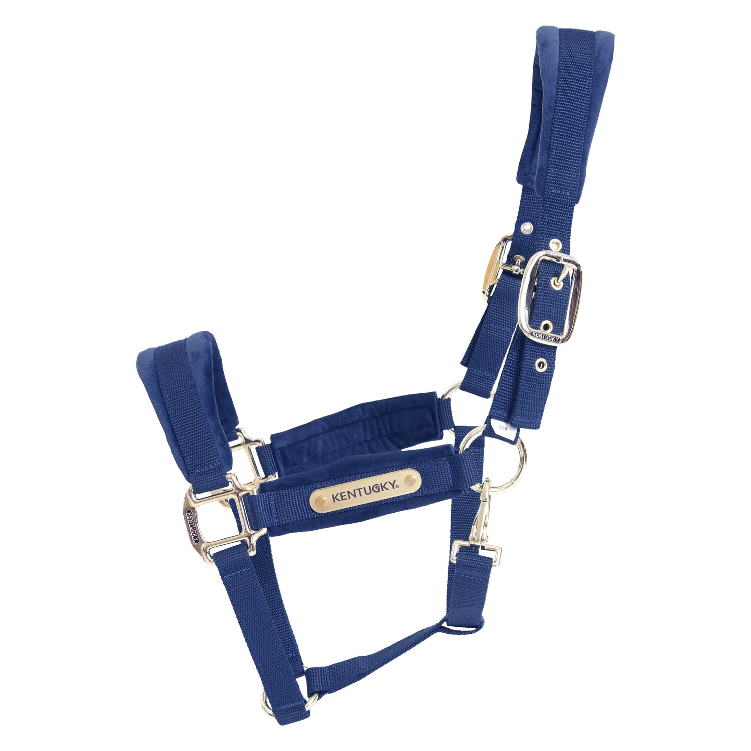 KENTUCKY Halfter Velvet  - navy