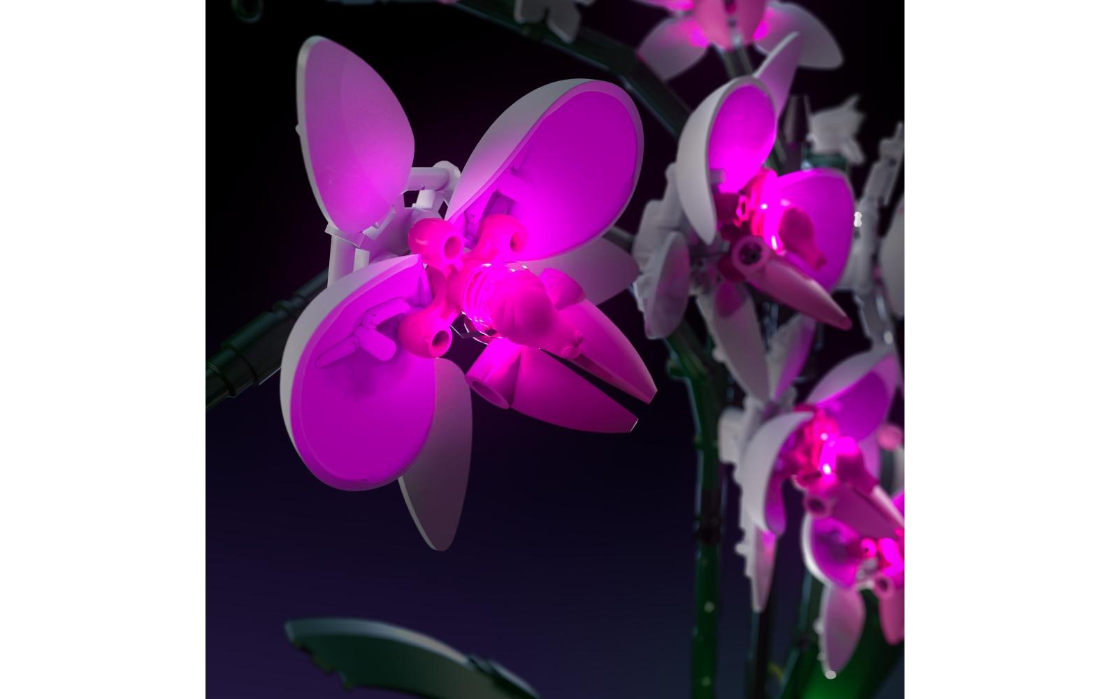 LED-Licht-Set für LEGO® Orchidee 10311Light-Kit