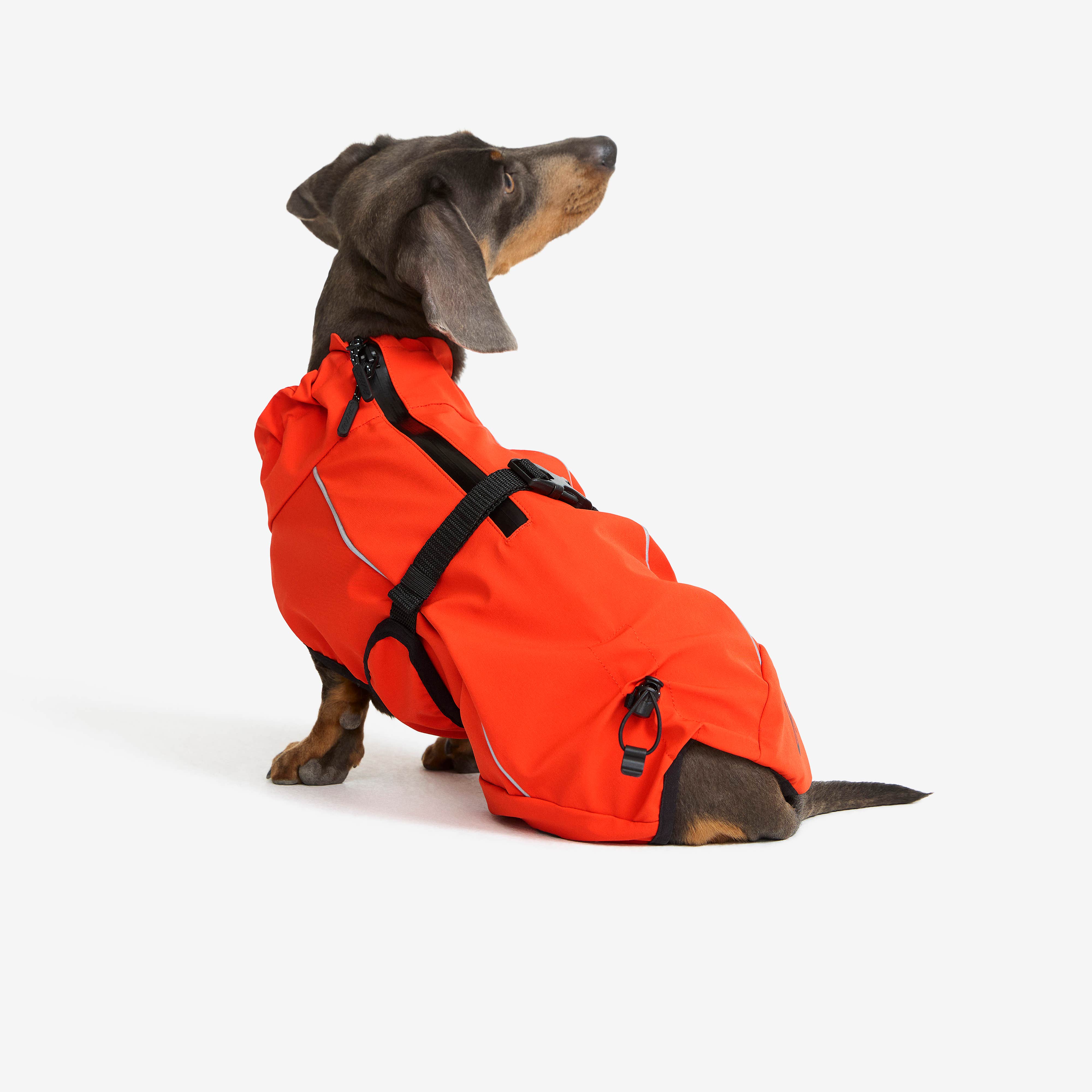 Cyclone Dog Jacket Hund Pureed Pumpkin