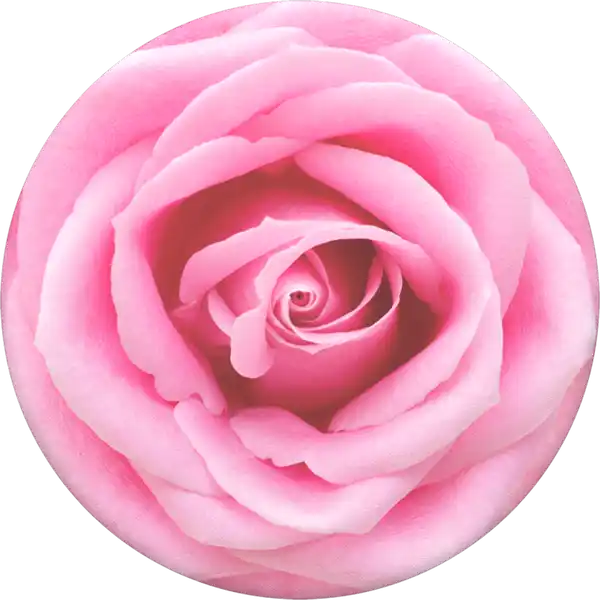 PopGrip Rose All Day