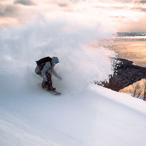Planche de snowboard NIDECKER ESCAPE WOOD/GREY