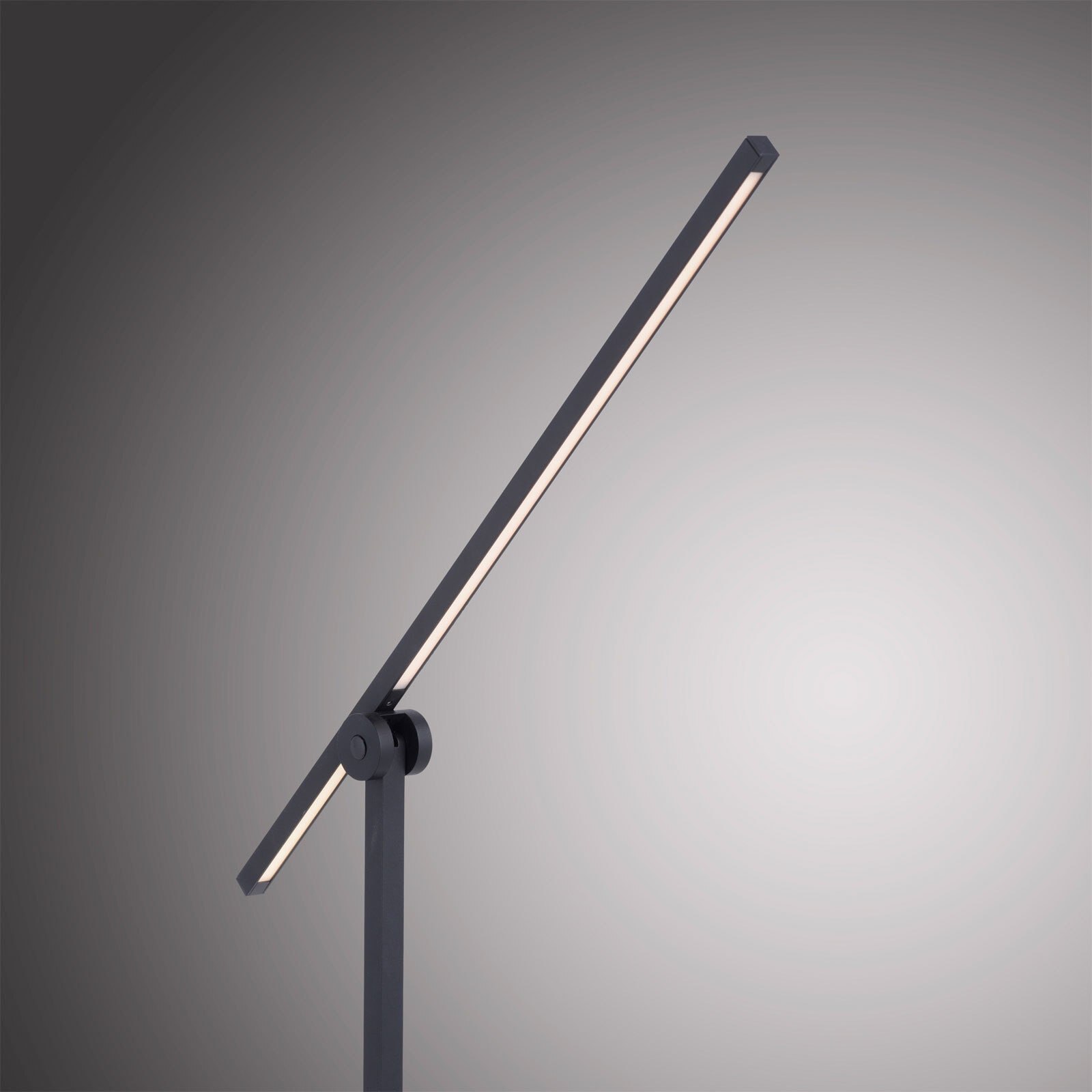 Paul Neuhaus LED Tischlampe PURE-GRAFO schwarz