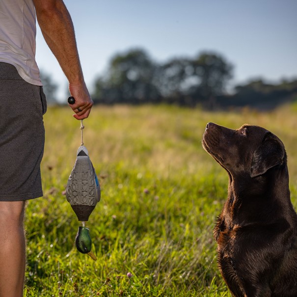 HP&G Training Tool Mallard<br>Til trening av hund!