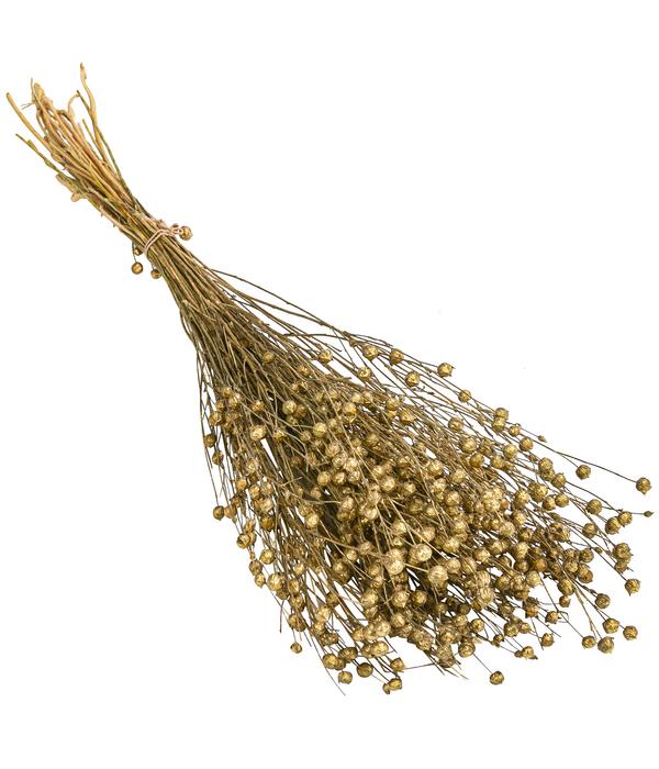 Trockenblumenbund Flachs, gold
